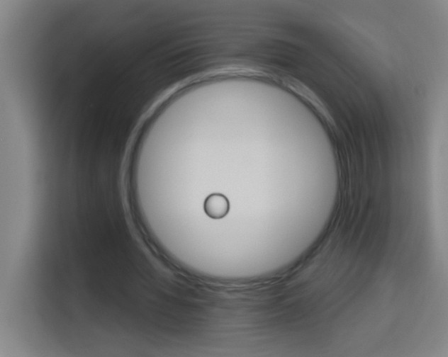 X0000114180436200910081136