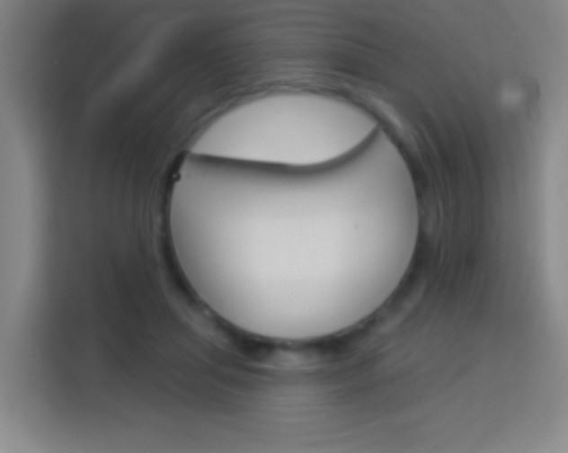 X0000114180455200910081137