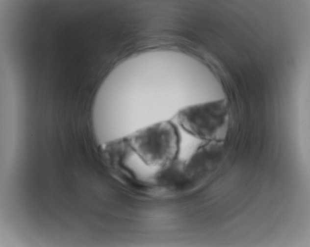 X0000114180465200910081137