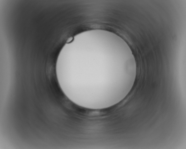 X0000114180473200910081137