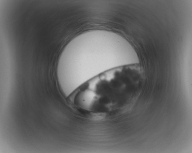 X0000114180474200910081137