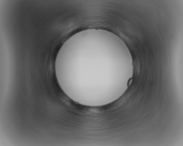 X0000114180475200910081137