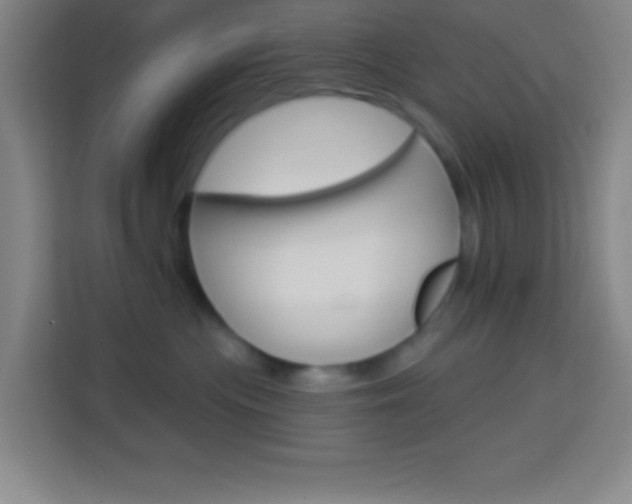 X0000114180477200910081137