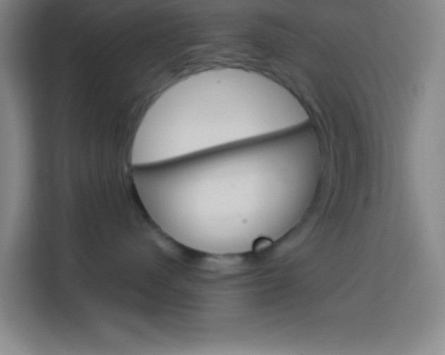 X0000114180480200910081137