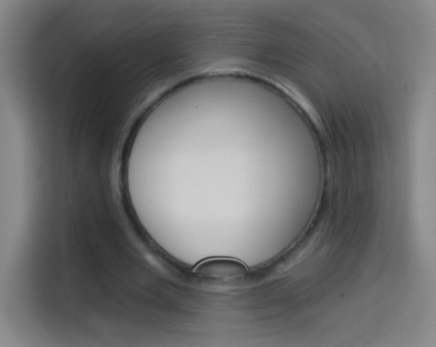 X0000114180485200910081136