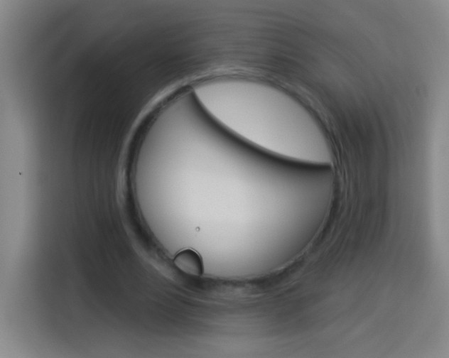 X0000114180488200910081136