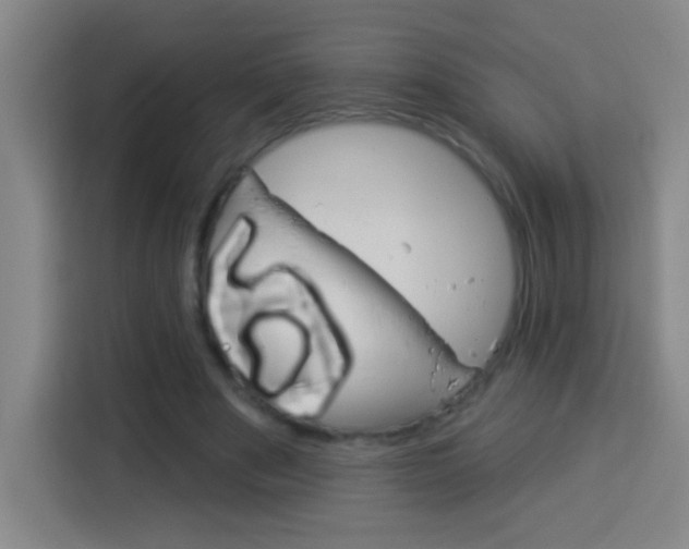 X0000114180489200910081136