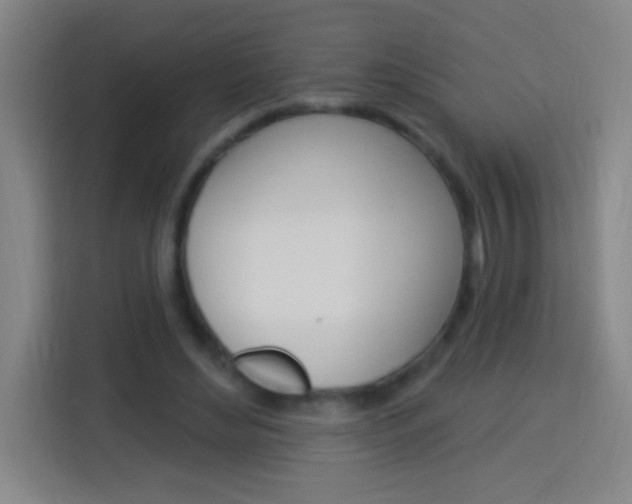 X0000114180492200910081136