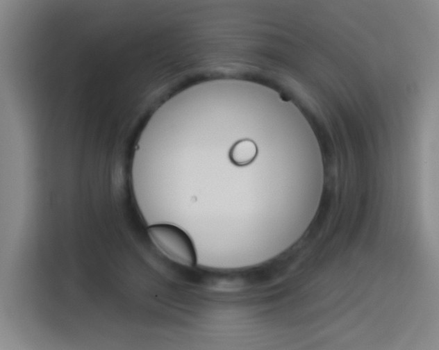 X0000114180500200910081136