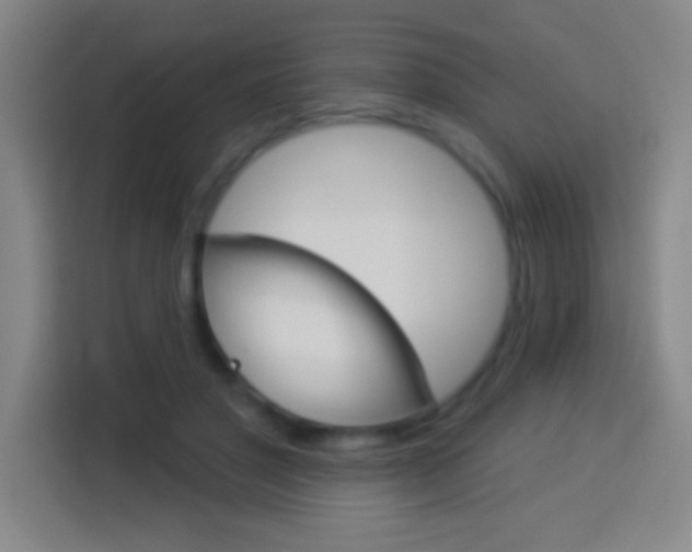 X0000114180501200910081136
