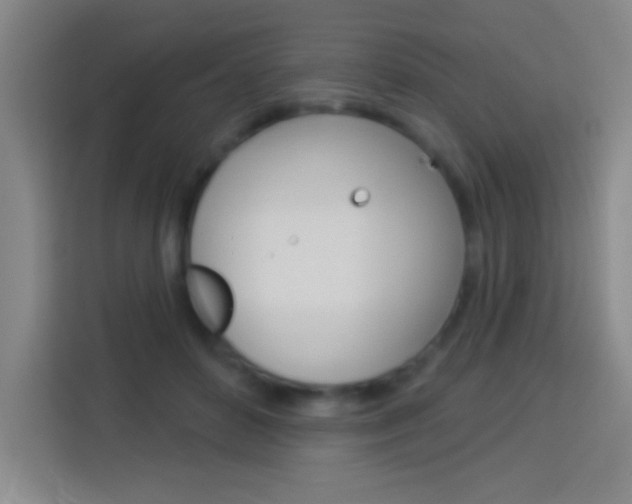 X0000114180504200910081136