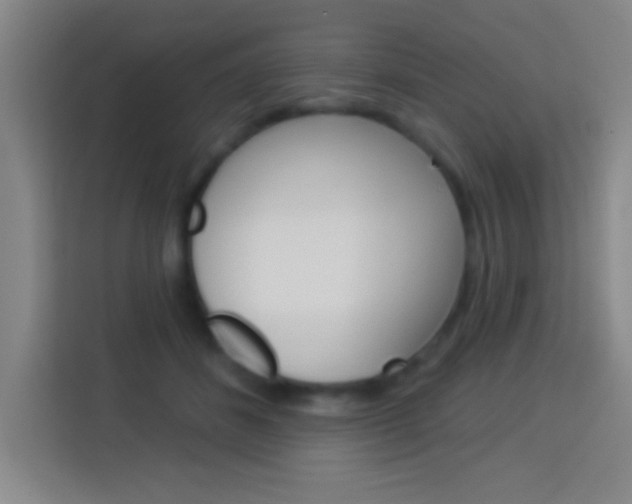 X0000114180508200910081136