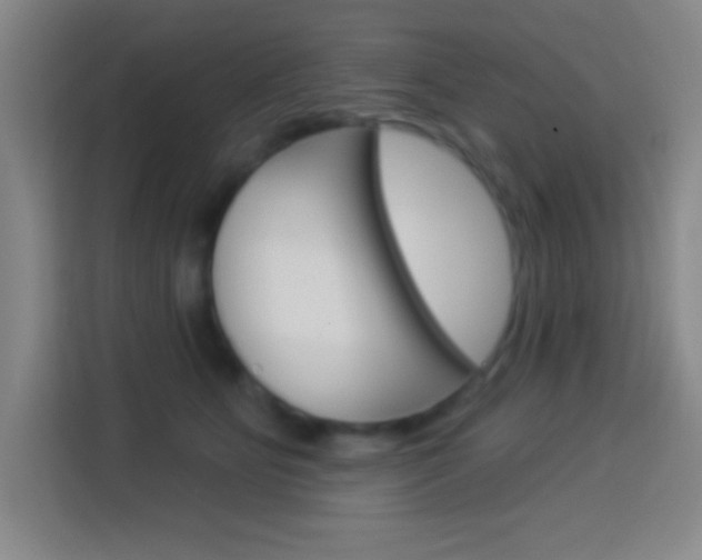 X0000114180515200910081136