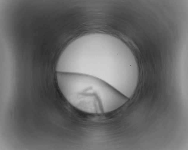 X0000114180517200910081136