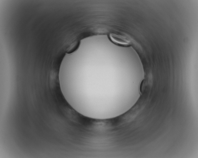 X0000114180521200910081136