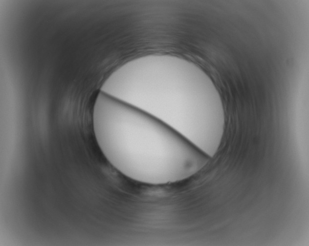 X0000114180523200910081136