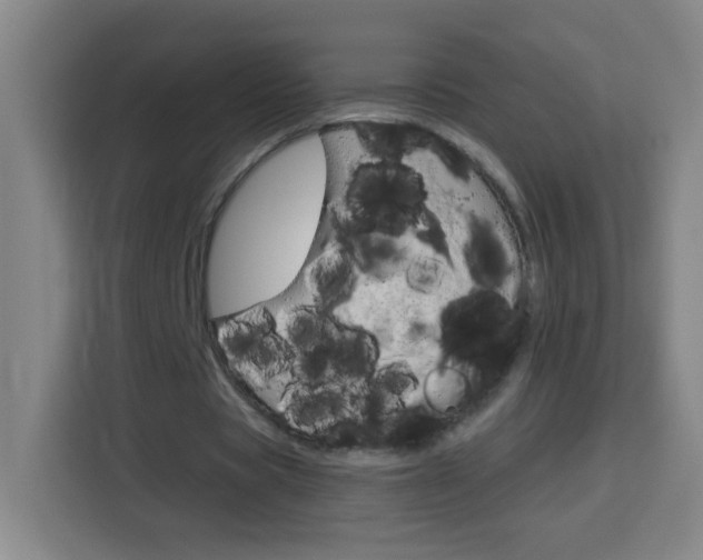 X0000114180529200910081135