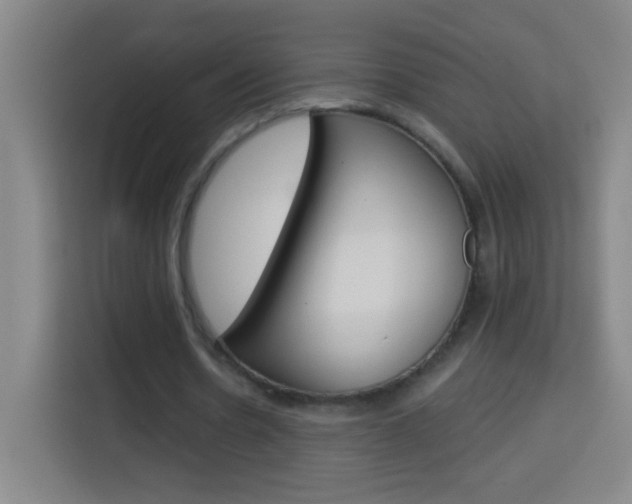 X0000114180530200910081135