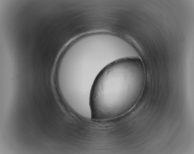 X0000114180532200910081135