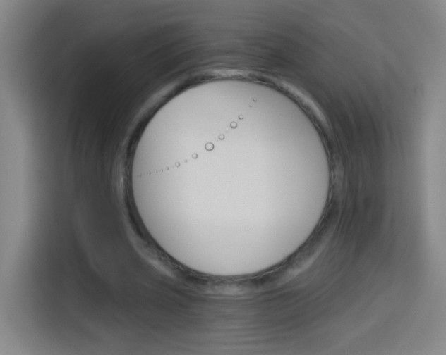 X0000114180533200910081135