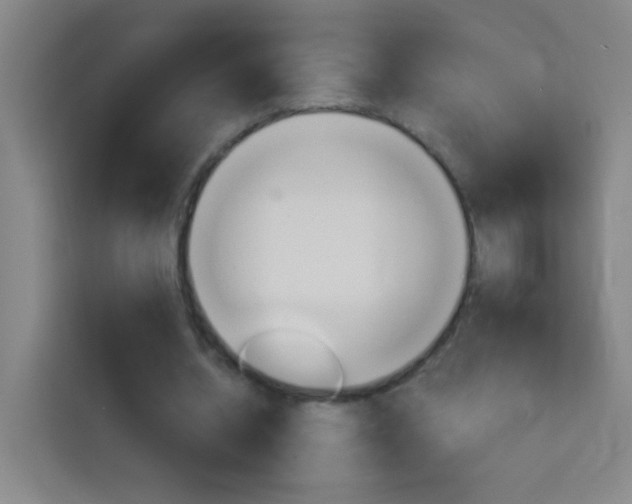 X0000114180534200910081135