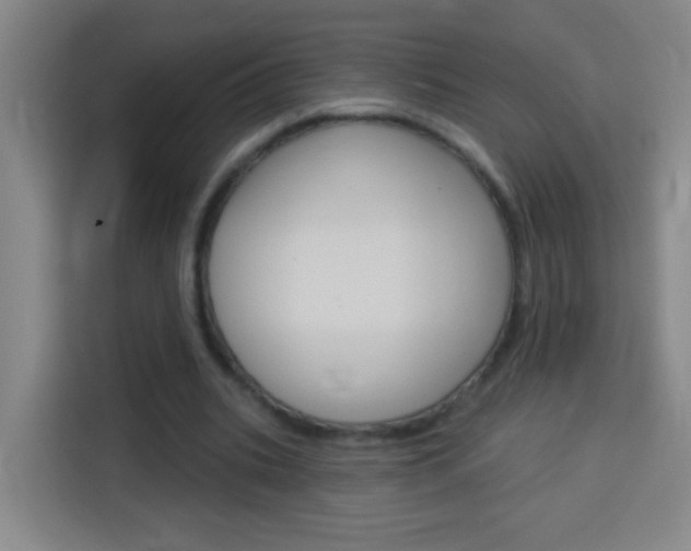 X0000114180535200910081135