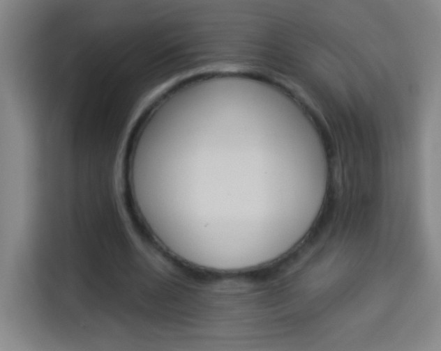 X0000114180536200910081135