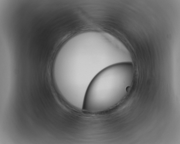 X0000114180538200910081135