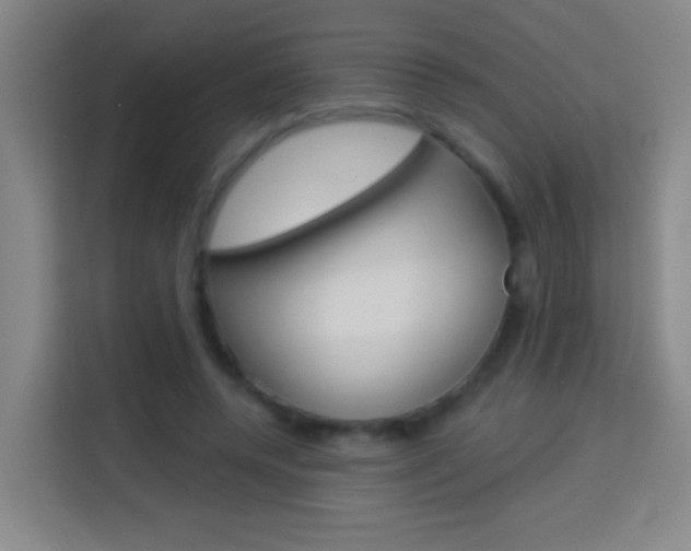 X0000114180544200910081135