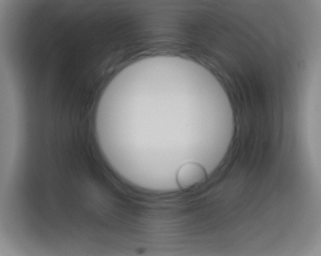 X0000114180568200910081135