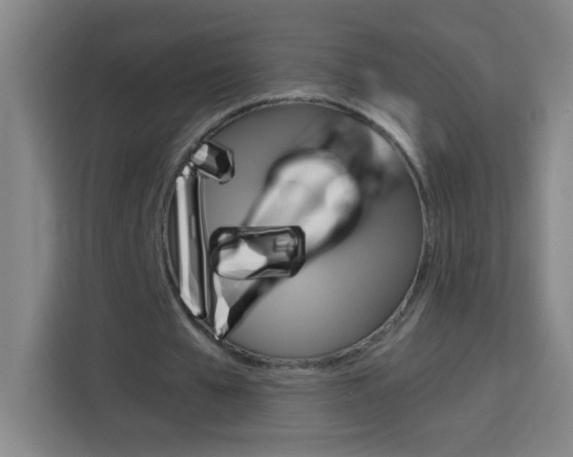 X0000114180577200910081135
