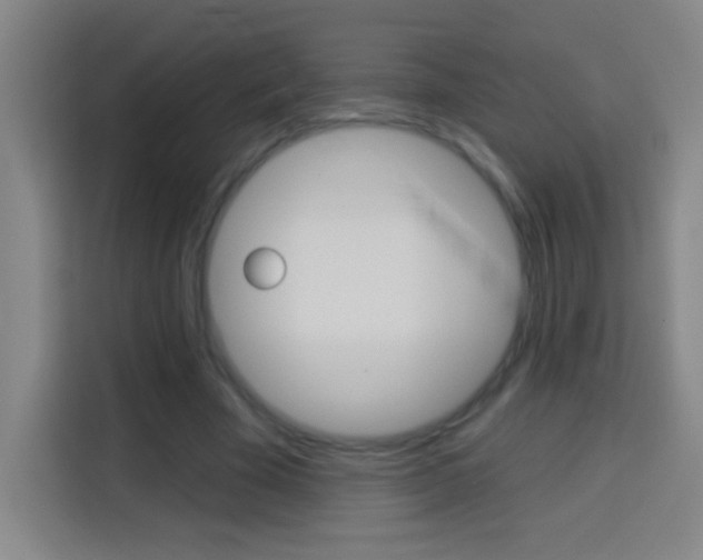X0000114180585200910081135