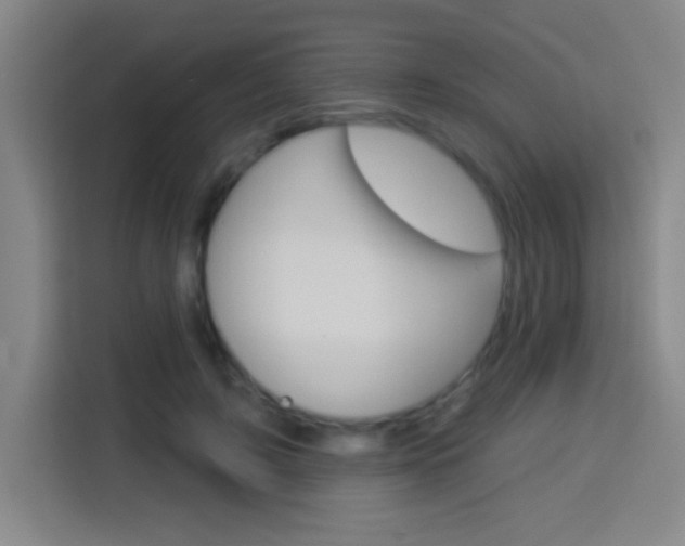 X0000114180595200910081135