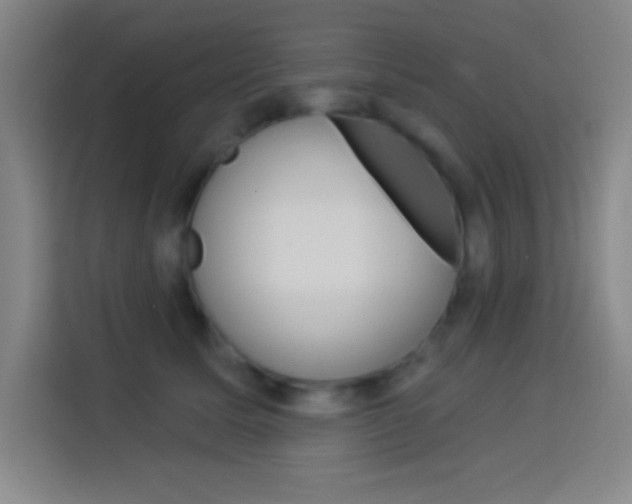 X0000114180611200910081135