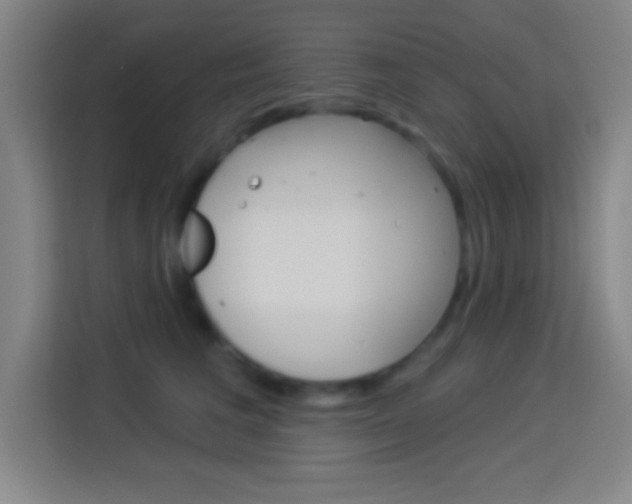 X0000114180613200910081134