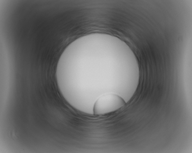 X0000114180621200910081134