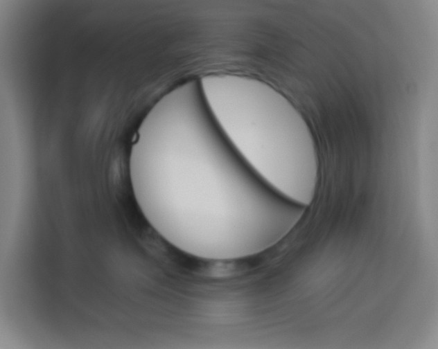 X0000114180623200910081134