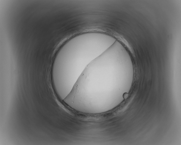 X0000114180625200910081134