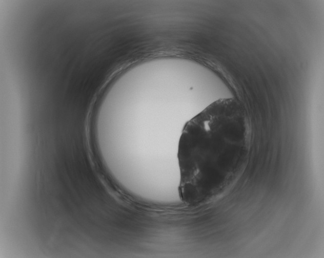 X0000114180626200910081134