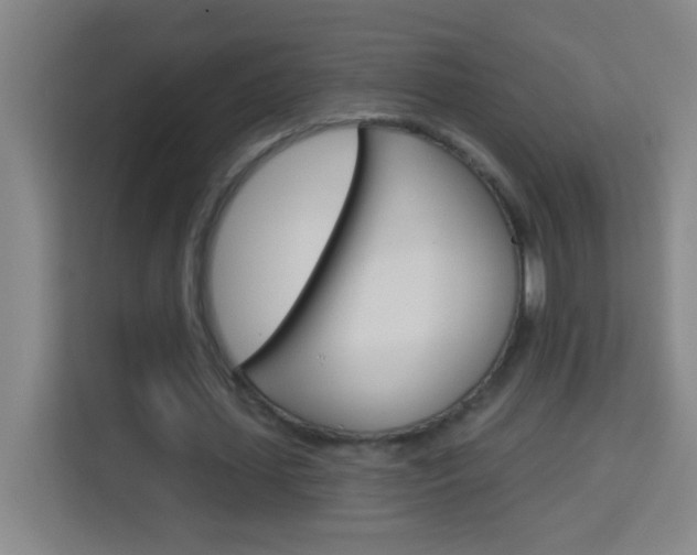 X0000114180627200910081134