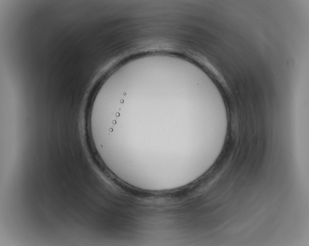 X0000114180629200910081134