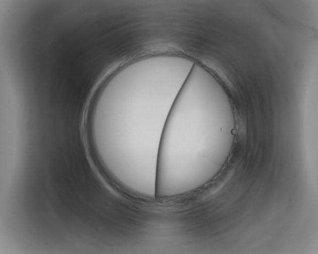 X0000114180630200910081134