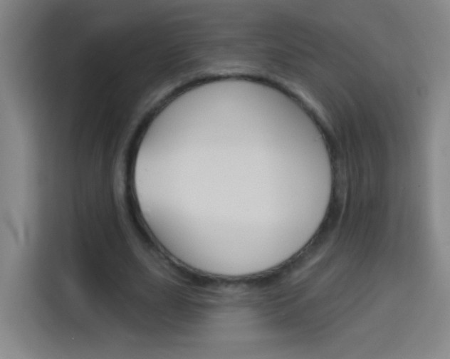 X0000114180631200910081134