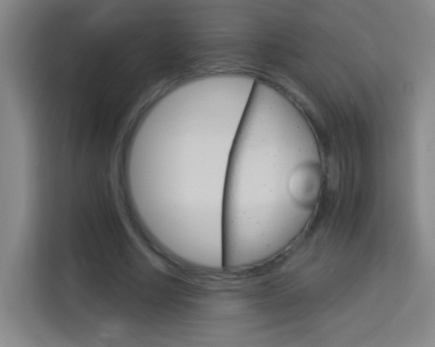 X0000114180634200910081134