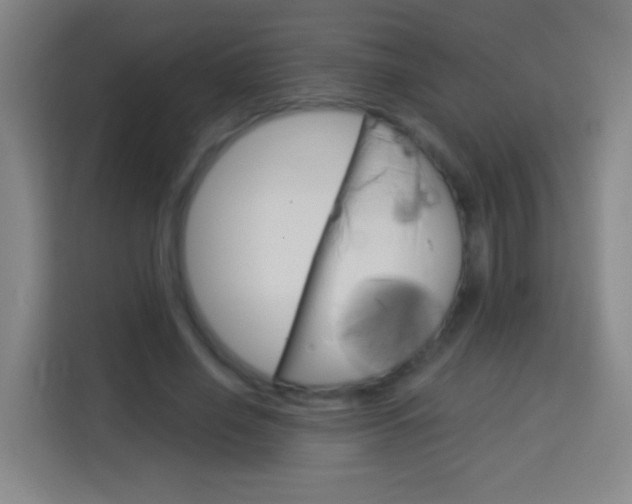 X0000114180638200910081134