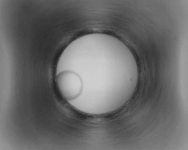X0000114180639200910081134