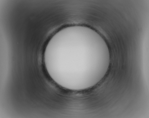 X0000114180640200910081134