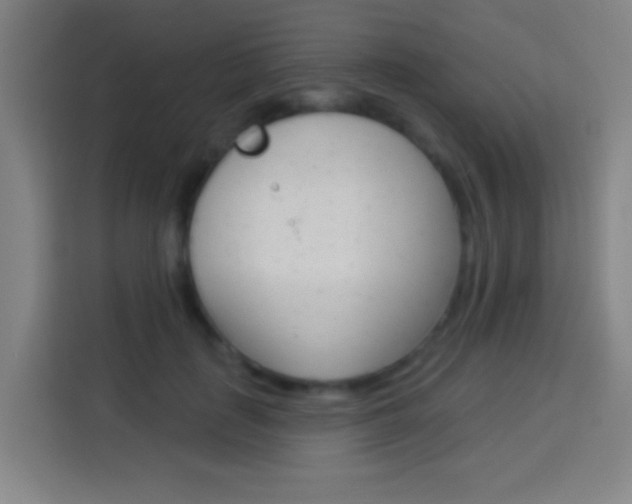 X0000114180651200910081134