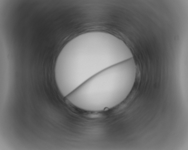 X0000114180669200910081134