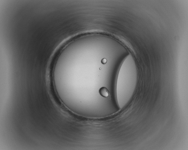 X0000114180676200910081134